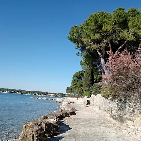 Modestos Nest - Casa Con Giardino Privato Per Due Villa Brtonigla